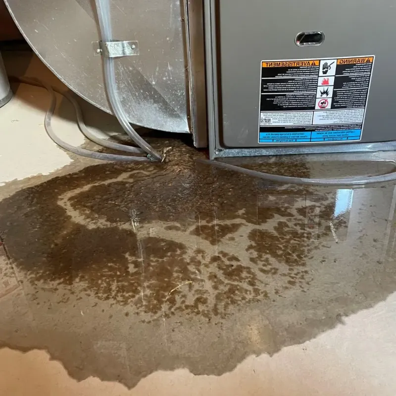 Pipe Burst and Leak Restoration in Braddock Heights, MD