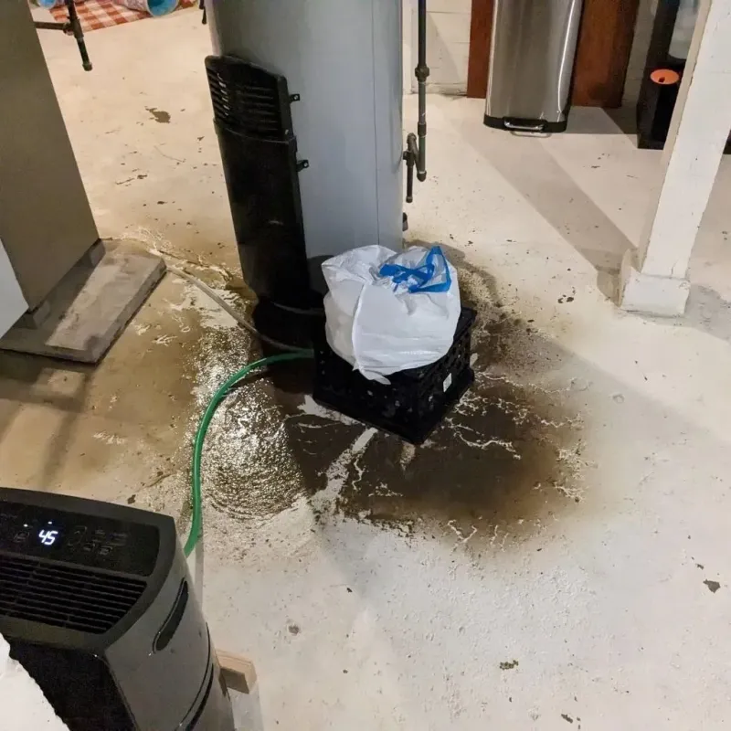 Sewage Backup Cleanup Service in Braddock Heights, MD